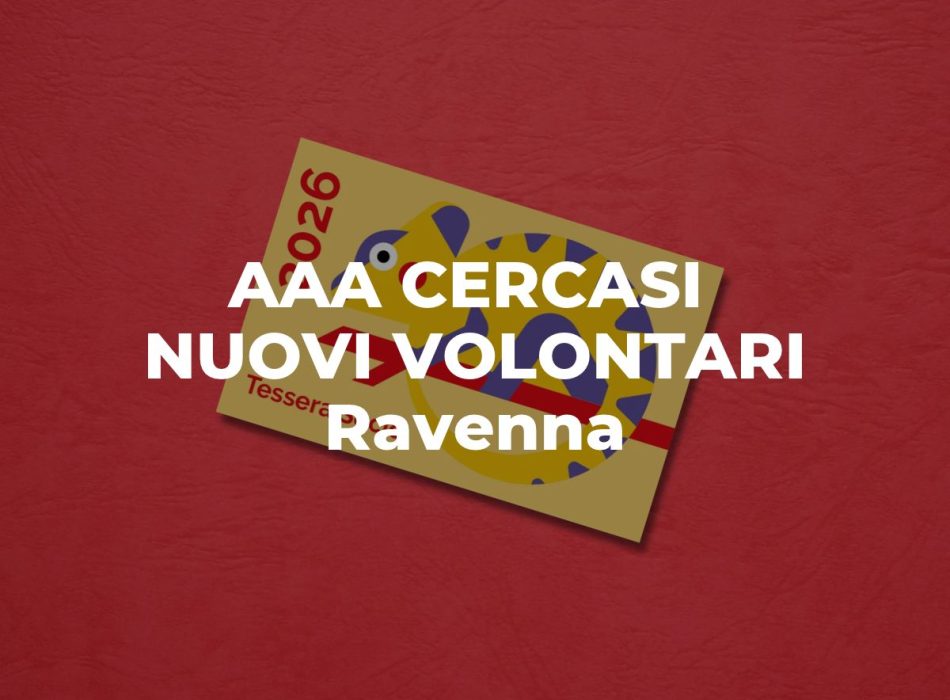 AIC_sito (18)