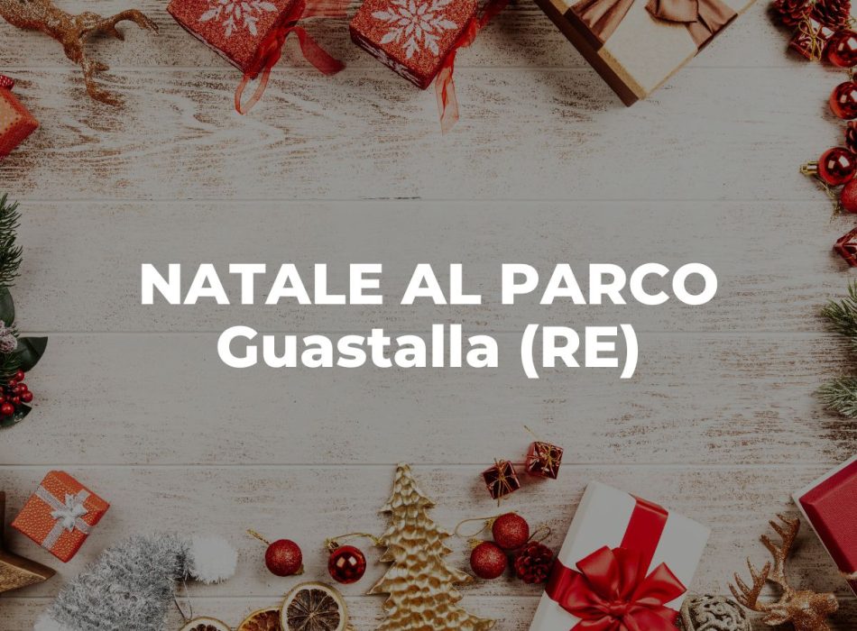 AIC_sito - 2025-12-11T132315.963